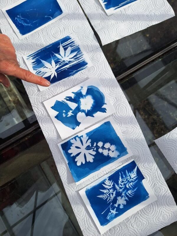 cyanotype kerstkaarten workshop hannestories studio