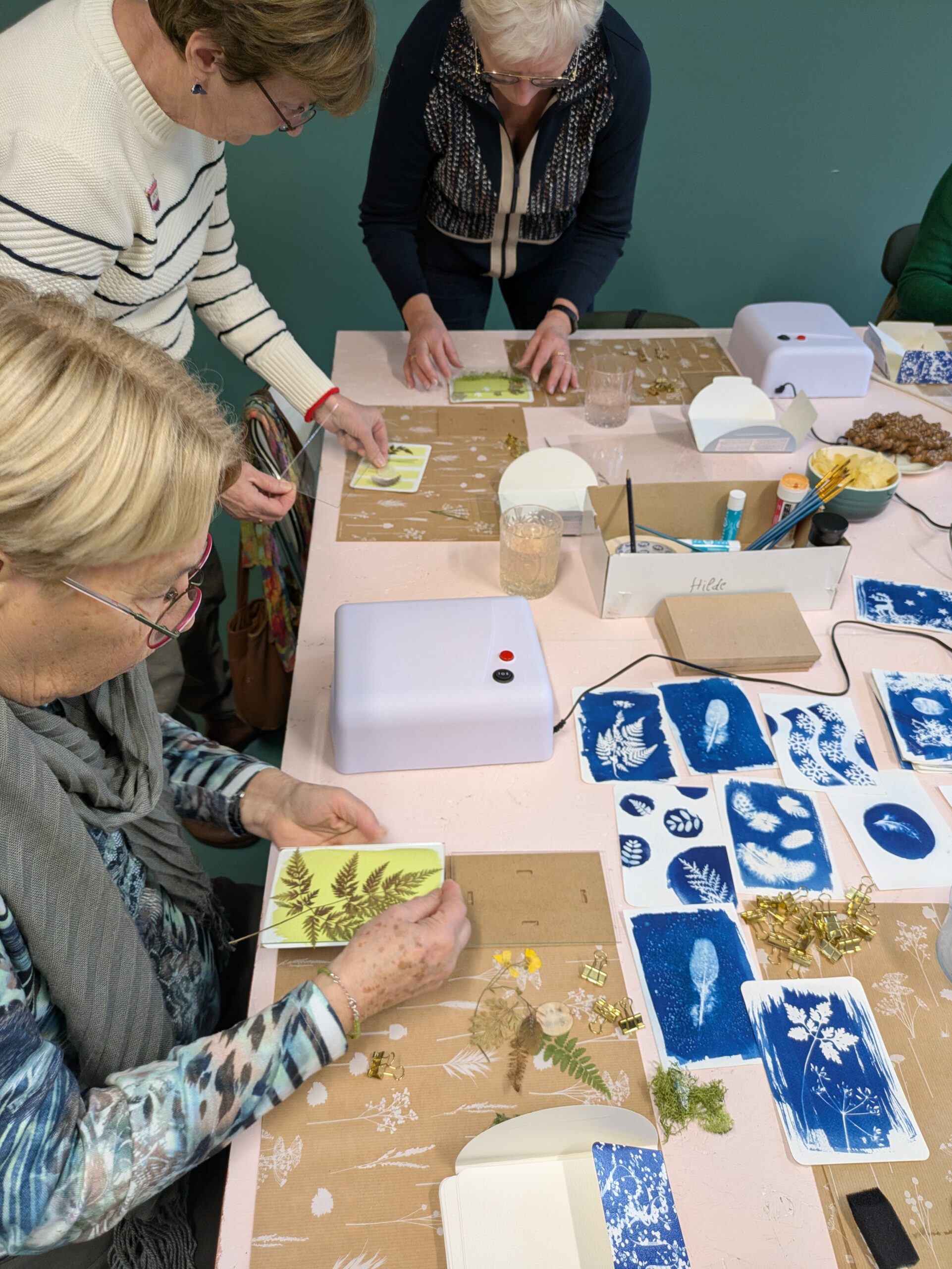 workshop cyanotype kerstkaarten - zaterdag 28 november - 14u-16u30 - Afbeelding 5