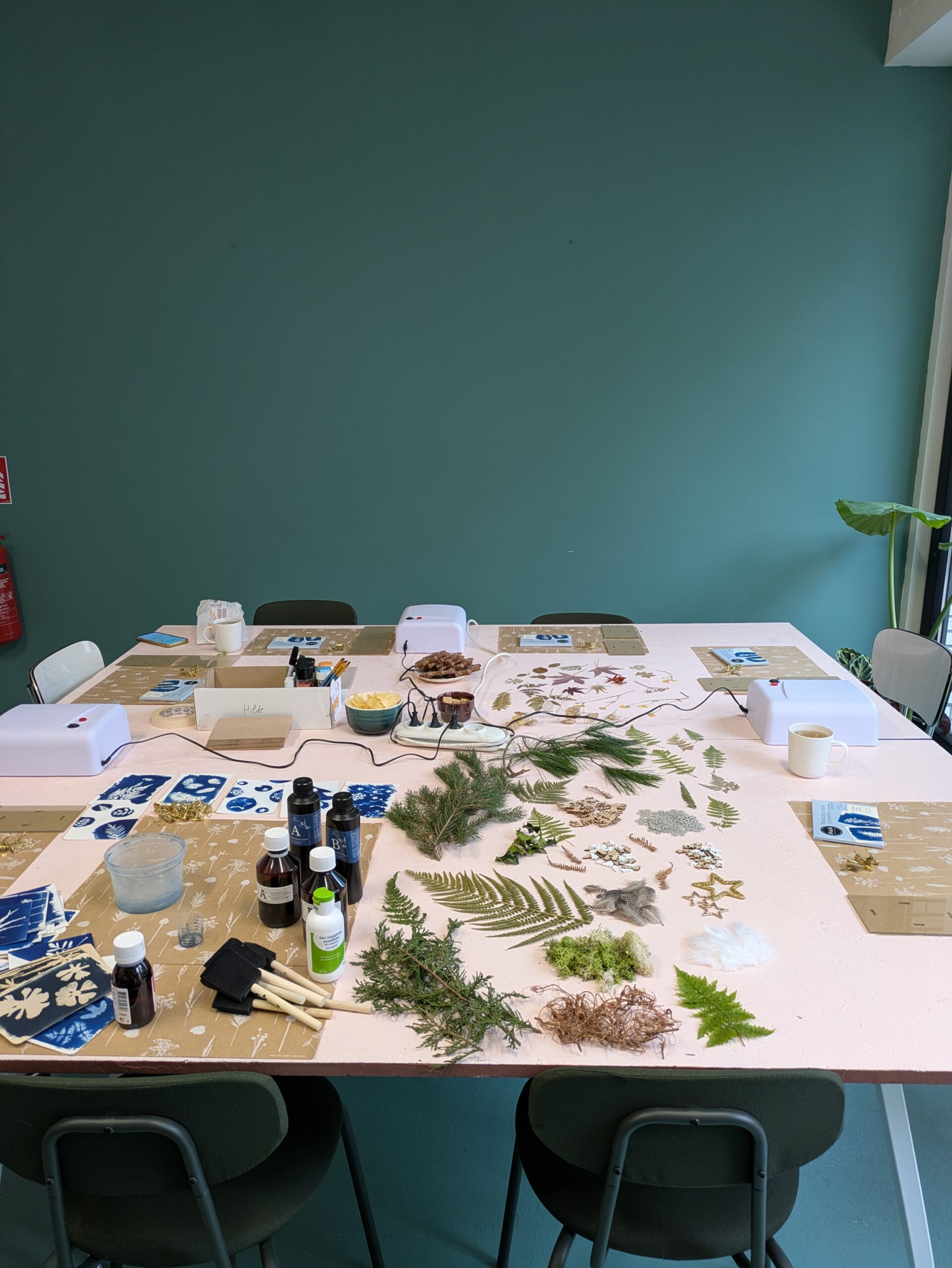 workshop cyanotype kerstkaarten - zaterdag 28 november - 14u-16u30 - Afbeelding 6