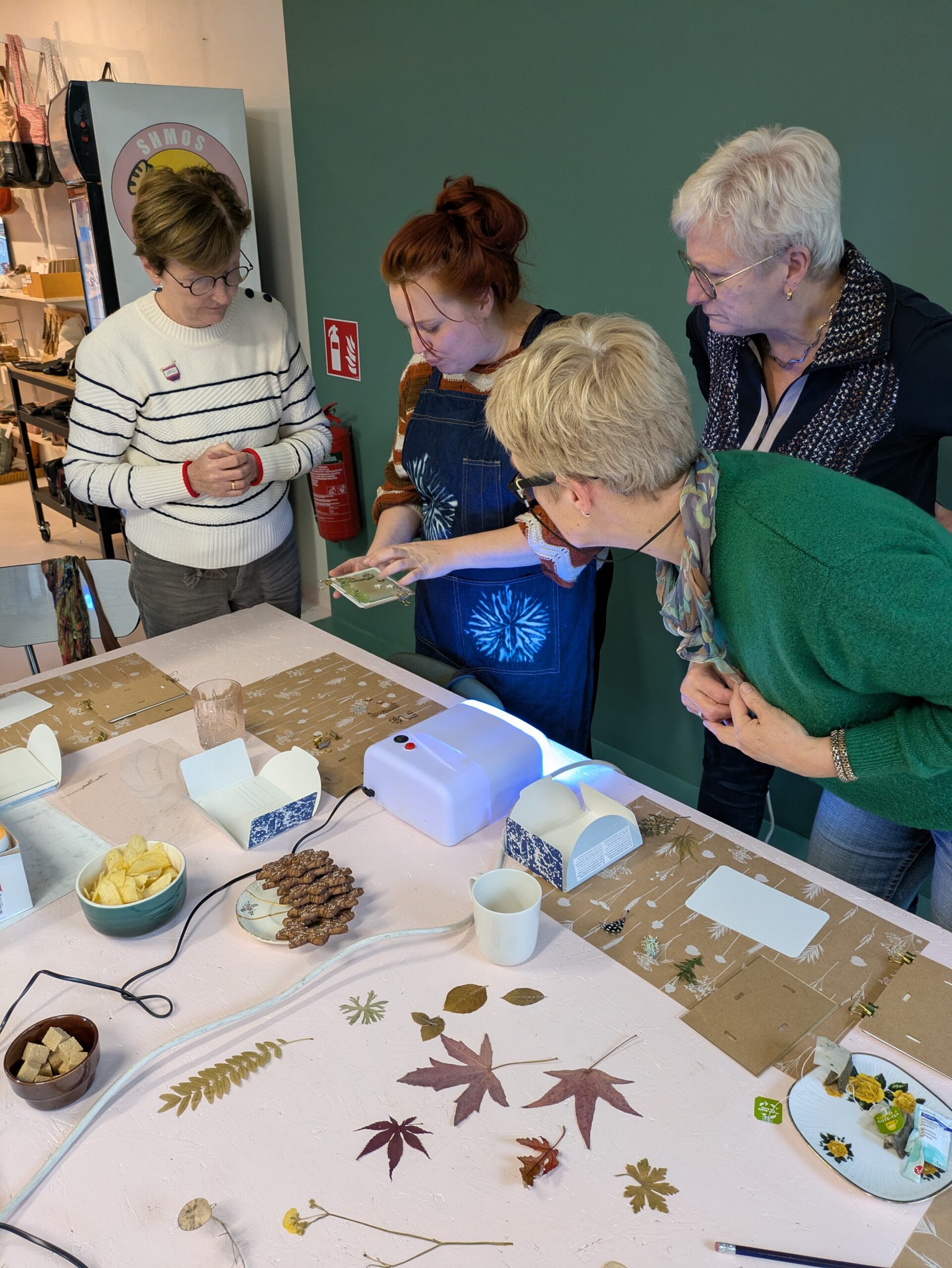 workshop cyanotype kerstkaarten - zaterdag 28 november - 14u-16u30 - Afbeelding 4